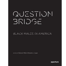 (영문도서) Question Bridge: Black Males in America Paperback, Aperture, English, 9781597113359