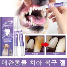 반려동물 양치펜 천연 식물 성분 애완 동물 치태 입냄새 개선, 1개, 6ml