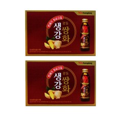 광동 생강쌍화 120ml 10개입 2개