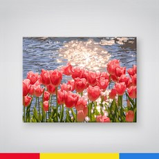 드로잉 꽃 유화 그리기 그림 DIY 일러스트 데이지, A. 튤립의 여름