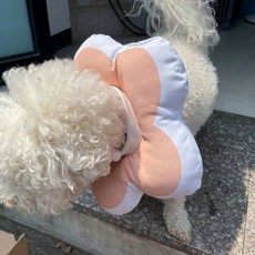 강아지고양이넥카라 쿠션넥카라 핑크 강아지고깔 강아지꼬깔 79000EA 1EA, 본상품