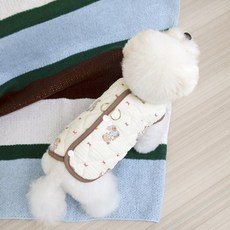 파스텔펫 반려동물 누빔 베어패턴 조끼, 타입B, 1개