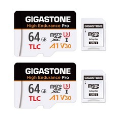 5년 데이터 복구 대시캠 기가스톤 256GB SD 카드 TLC 고내구성 프로 최대 100MB 속도 향상 REDTIGER Rove VIOFO VANTRUE PRUVEEO ARIFAY, 4 64GB High Endurance Pro 2Pac