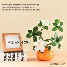 한라봉 수경재배 화분 인테리어 세라믹 도자기 화분, 오렌지 꽃병+버드나무+액자