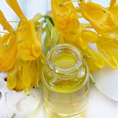 [LS 앱솔루트 오일] N11 허니서클 (Honeysuckle) 10ml, 1개, 연한노랑