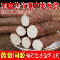 허난 교주 철스틱 얌 풀 파운드, 56cm 2500g, 1개