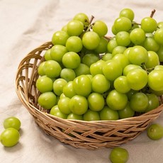 농부들의수확 에어셀안전포장고당도 샤인머스켓 일반형 2kg 2-4수, 매장정품 농부들의수확 [에어셀안전포장]고당도 샤인머스켓