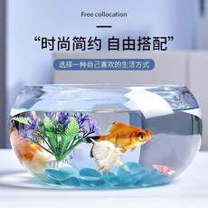 加厚高透明玻璃魚缸小型金魚缸烏龜缸 辦公桌客廳傢用魚缸造景, 1個, 20魚缸+四件套+夢幻石6顆
