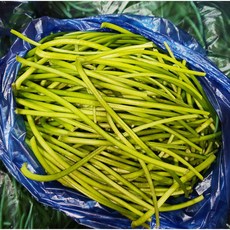 국내산 고구마줄기 1kg 청대 홍대, 1개