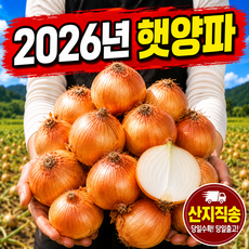 [산지직접배송] 국내산 26년 단단한 신선 햇 양파 특품 아삭한 단맛, 1개, 3kg (중)