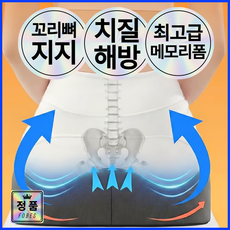포베즈 꼬리뼈 자유 고밀도 메모리폼 자세교정 3D 치질 방석 MAX 3.0, 웨일블랙(남여공용)