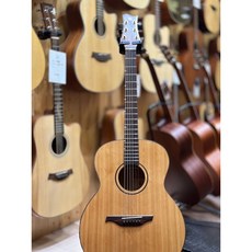 Gomans G-S12 全單板木吉他，提供卓越音質與舒適握感，適合各程度音樂愛好者, 1個