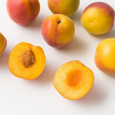 유명산지 프리미엄 플럼코트, 1개, 1kg / 대과 / 15~20과내외