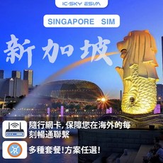 洲際電通 新加坡/馬來西亞/泰國 網卡 - 日流量型實體卡, 1個, 高速500MB/日,3