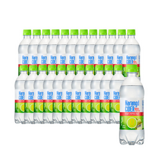 동아 57YV-나랑드사이다 그린애플500ml 24입, 500ml, 1개