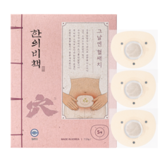 한의비책 그날엔 혈패치 생리통 온열팩 5매, 1개