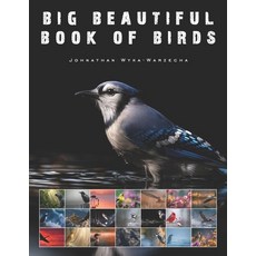 (英文圖書)Big Beautiful Book of Birds: Large Two Page Pictures of Avian Wildlife Coffee Ta... 平裝版, Independently Published, 英文
