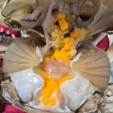 장인꽃게 급냉 꽃게 1kg 암꽃게 대 냉동꽃게, 1개