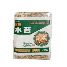 압축 수태 75g 칠레산 건조수태 천연수태, 1개