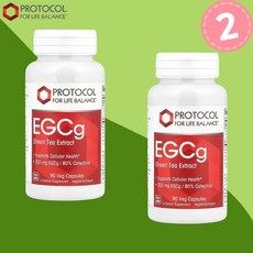 프로토콜 EGCg 그린티 녹차 200mg 90정 2병 카테킨 EGCG 폴리페놀 슬림 릴렉스, 2개