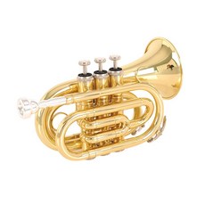 트럼펫 연습용 초보자 취미 2colors 버스킹 B-플랫, 골드, 1개