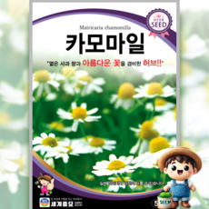 세계종묘 카모마일 500립 일반종 식용꽃 허브 꽃씨 씨앗 종자 세계, 1개