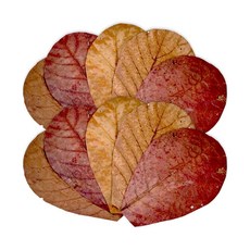 레이온버트 리프 시리즈(알몬드잎) M, 20g, 1개