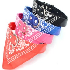 다있군샵 스카프 목줄 시바목줄, 핑크 1cm