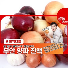 경동건강원 무안양파즙 양파액기스 진액 소포장 10포 1일1포 10일 복용, 1개, 110ml