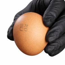 [억수로상회] 무항생제 1+등급 계란(대란), 3개, 20구