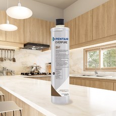 EVERPURE BH-2濾心/濾芯 (原裝進口/黑水保固) - 有效濾除雜質、異味，提升飲水品質, 1個, 單入裝(售出享黑水保固1個月, 單入裝(售出享黑水保固1個月
