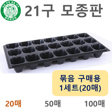 파주큰사위 튼튼한 21구 모종 트레이 파종 삽목 21공, 20개, 검정