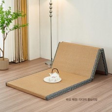 바닥매트리스 원룸용 접이식 간이 손님용 원룸 게스트용, 1cm, 브라운+블루