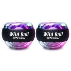 와일드 몬스터 LED 오토 자이로 와일드볼, 2개, 블랙