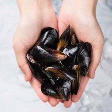 국내산 세척 홍합(수염제거) 3kg 5kg, 01.국내산 세척 홍합 3kg (수염제거), 1개