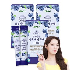 GNM 갈아만든 NFC 블루베리 퓨레 100%, 3개, 280g