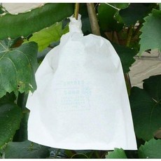 水果套袋 防蟲袋 葡萄 桃子 草莓 專用袋, 1個, 高光白袋 24*32 套一斤串,3000個 整袋