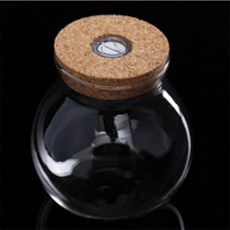 어반블루 마리모키우기 LED코르크유리병 식물키트