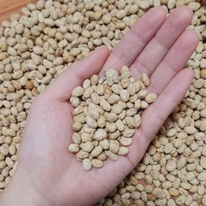 전통 발효용 숙성 청국장 고추장 된장 장담그기용 대두 메주콩, 1개, 1kg