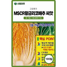 KS종묘 MS CR황금리코 배추씨앗 100립 라이코펜 함유 국내산 황금배추씨 종자, 1개