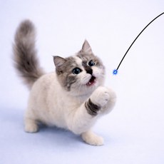 고양이 낚시 장난감 반짝이 낚싯대 LED 사냥 놀이, 1세트, 초록