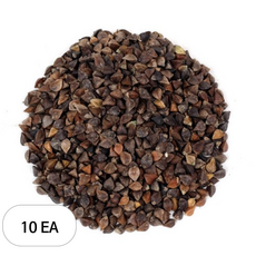 신선약초 통메밀, 500g, 1개입, 10개