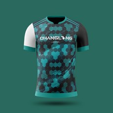 【CHANGLONG 藏龍企業】傳奇系列 熱升華運動上衣 ❮命運❯ 羽球衣 桌球衣 排球衣, 1個, L