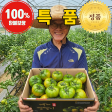 [부산정품] 대저토마토 짭짤이 오리지널, 1박스, 2.5kg (S-2S 로열과)