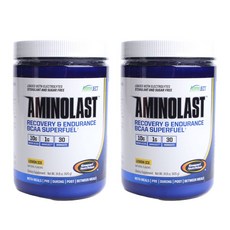 가스파리뉴트리션 아미노라스트 레몬 아이스, 420g, 2개