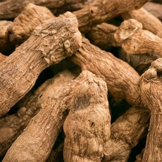 한가람건강원 국산 볶은 둥굴레 대용량 100% 효능 약재 약초 1kg, 1개