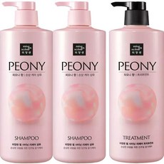 미쟝센 펄샤이닝 퍼퓸 피오니향 1000ml 샴푸2개+ 트리트먼트1개, 3개, 1L
