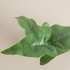 열대잎커튼집게 25cm 조화 인테리어, 안시리움, 2개