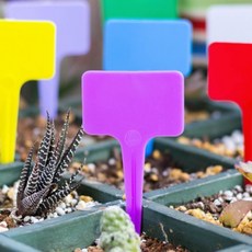 퍼플 T자형 이름표 원예 식물 MCL