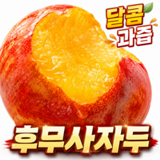 [제철자두] 황금과육 달콤과즙 재구매 후무사자두, 1박스, 1kg(중)